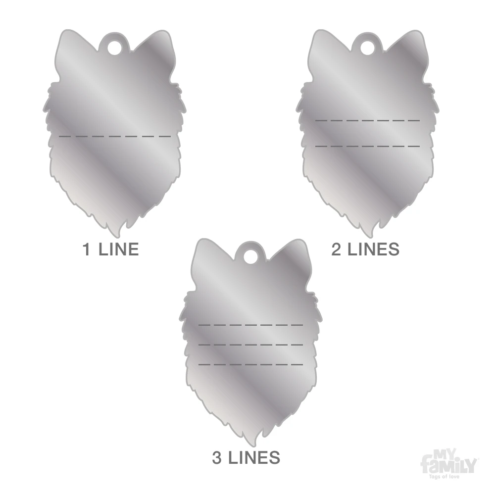 Ταυτότητα Σκύλου My Family Collie 4 Ταυτότητα Σκύλου My Family Collie - Image 4