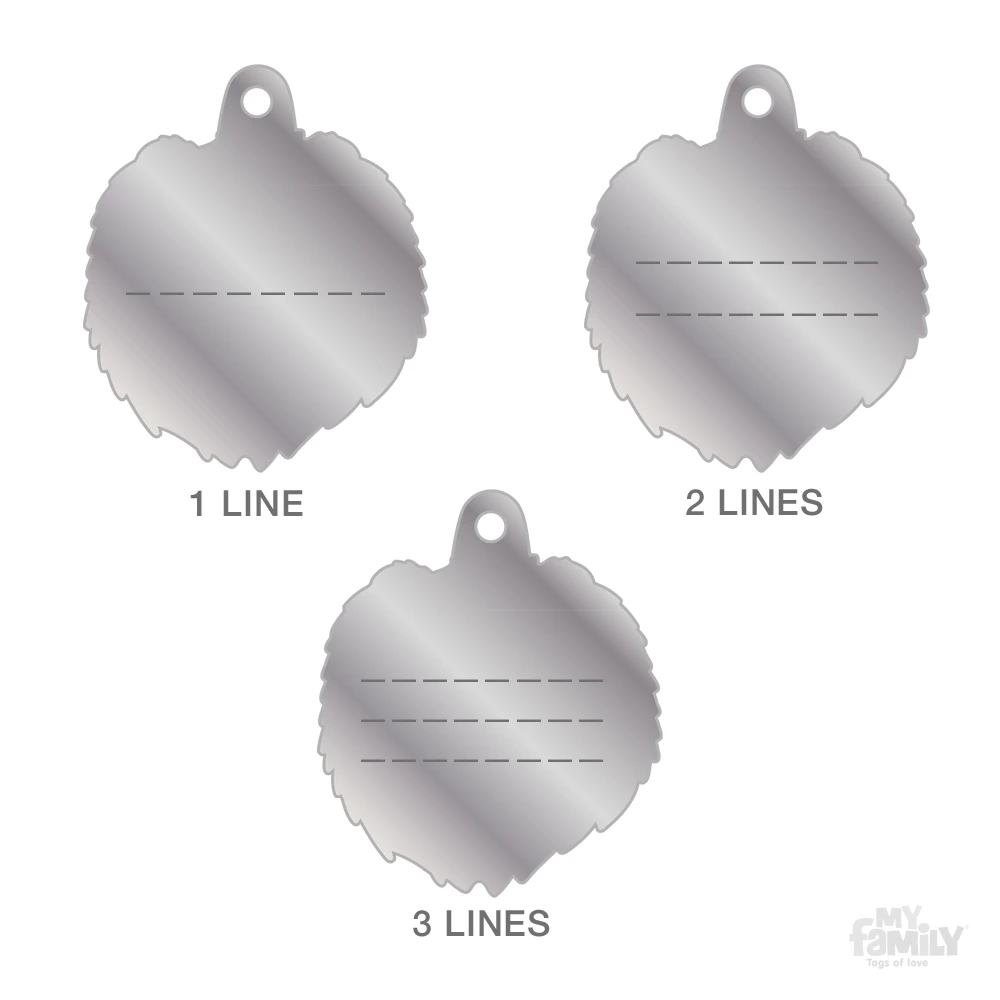 Ταυτότητα Σκύλου My Family Chow Chow Brown 4 Ταυτότητα Σκύλου My Family Chow Chow Brown - Image 4