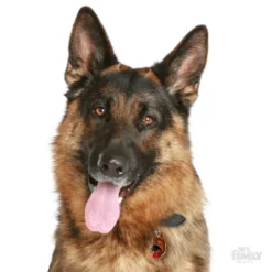 Ταυτότητα Σκύλου My Family German Sheperd -Προμήθειες Για Κατοικίδια Κατάστημα πωλήσεων 0026727 1000x1000 1
