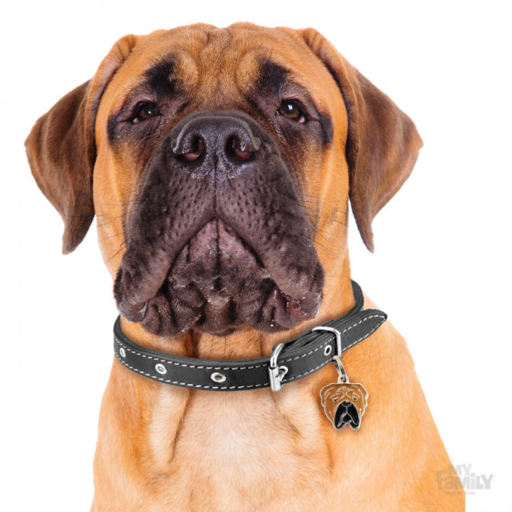 Ταυτότητα Σκύλου My Family Bullmastiff 3 Ταυτότητα Σκύλου My Family Bullmastiff - Image 3