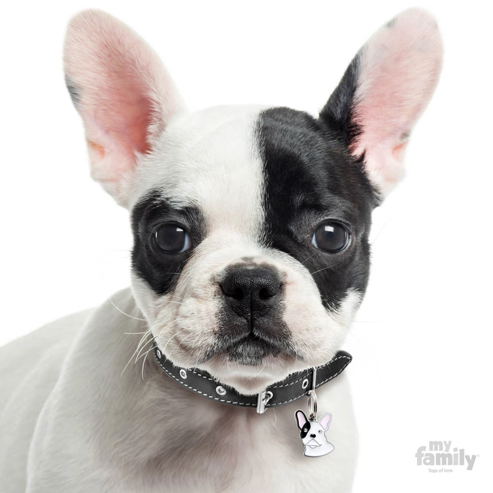 Ταυτότητα Σκύλου My Family White French Bulldog 3 Ταυτότητα Σκύλου My Family White French Bulldog - Image 3