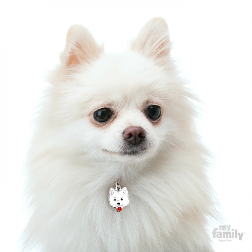 Ταυτότητα Σκύλου My Family Spitz White 3 Ταυτότητα Σκύλου My Family Spitz White - Image 3