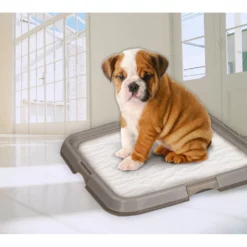 Βάση συγκράτησης για πάνες Pawise 60x60cm -Προμήθειες Για Κατοικίδια Κατάστημα πωλήσεων 11446 11447withDog 1000x1000w