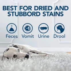 Καθαριστικό Λεκέδων Simple Solution Stain And Odour Remover For Dogs 750ml 8 Καθαριστικό Λεκέδων Simple Solution Stain And Odour Remover For Dogs 750ml -Προμήθειες Για Κατοικίδια Κατάστημα πωλήσεων 11607 2 1000x1000 1