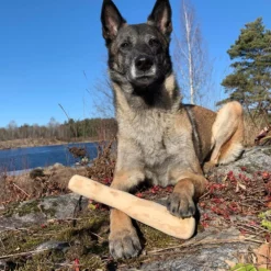 Natural Coffee Wood Chew Stick Wildz Large 200gr -Προμήθειες Για Κατοικίδια Κατάστημα πωλήσεων 175174399 origpic e4e520 1000x1000 1