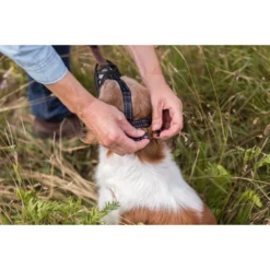 Φίμωτρο Σκύλου Trixie Muzzle Flex Large - XLarge Μαύρο -Προμήθειες Για Κατοικίδια Κατάστημα πωλήσεων 17613 3 petshop88 1000x1000w