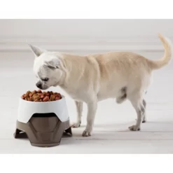 Διπλό πολυλειτουργικό μπολ Σκύλου και Γάτας Bama (0.65Lt + 0.36Lt ) =1.1Lt -Προμήθειες Για Κατοικίδια Κατάστημα πωλήσεων 19015 11 1000x1000w