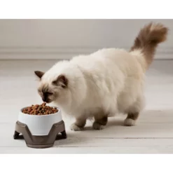 Διπλό πολυλειτουργικό μπολ Σκύλου και Γάτας Bama (0.65Lt + 0.36Lt ) =1.1Lt -Προμήθειες Για Κατοικίδια Κατάστημα πωλήσεων 19015 12 1000x1000w