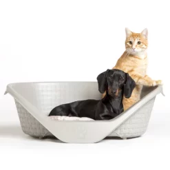 Πλαστικό Κρεβάτι Bama Nido Brown 90cm -Προμήθειες Για Κατοικίδια Κατάστημα πωλήσεων 19070 01 1000x1000 2