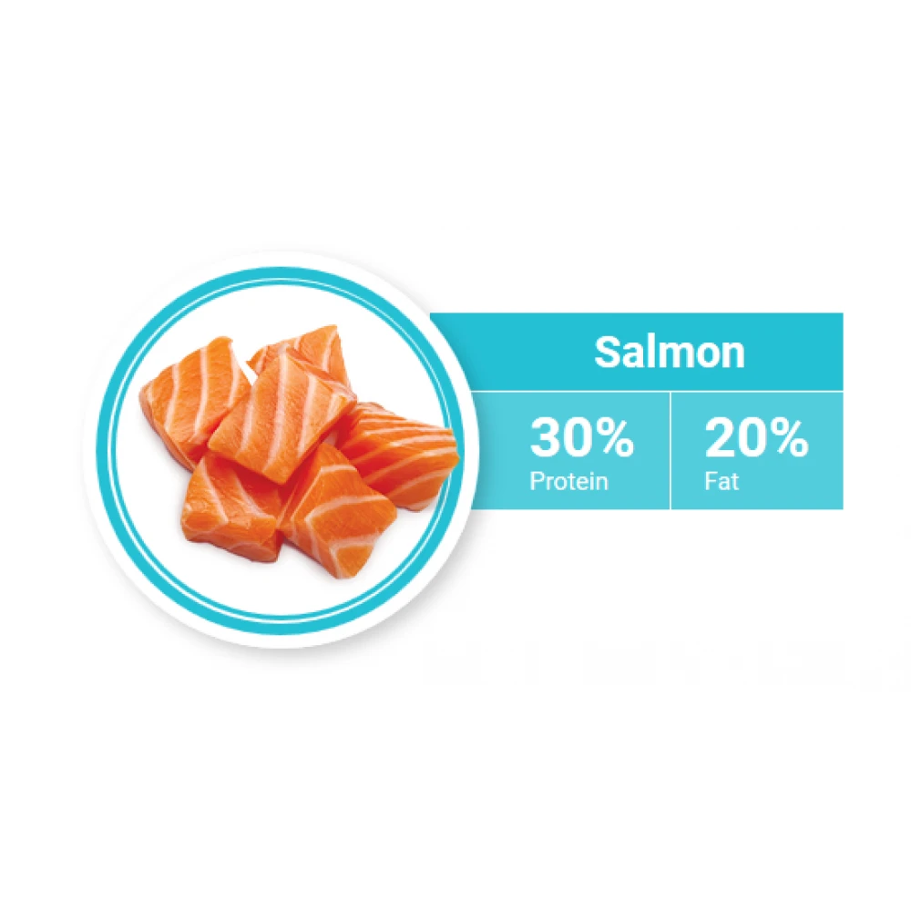 1st Choice Γάτας Healthy Skin & Coat 2,72kg 4 1st Choice Γάτας Healthy Skin & Coat 2,72kg - Image 4