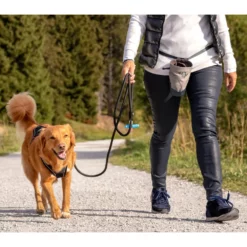 Οδηγός - Λουρί Curli Stretch Comfort Leash Brown Medium 0,8x180cm -Προμήθειες Για Κατοικίδια Κατάστημα πωλήσεων 20202708 0282 1000x1000w 1