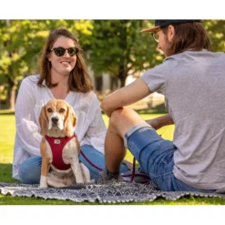 Σαμαράκι Curli Clasp Air-Mesh Fuchsia Small 38-43cm -Προμήθειες Για Κατοικίδια Κατάστημα πωλήσεων 20210918 curli photoshoot 480 1000x1000w 8