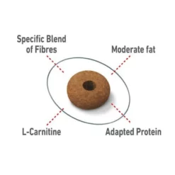 Royal Canin Cat Sterilised Apetite Control 2kg -Προμήθειες Για Κατοικίδια Κατάστημα πωλήσεων 20211109164801 1f10c647 1000x1000w