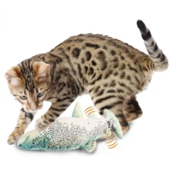 Παιχνίδι Γάτας AFP Instincts Fish Trout Με Catnip και Silvervine -Προμήθειες Για Κατοικίδια Κατάστημα πωλήσεων 2027 4 1000x1000w