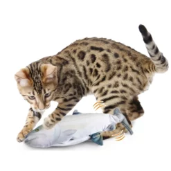 Παιχνίδι Γάτας AFP Instincts Fish Sardine Με Catnip 8 Παιχνίδι Γάτας AFP Instincts Fish Sardine Με Catnip -Προμήθειες Για Κατοικίδια Κατάστημα πωλήσεων 2028 2 1000x1000w