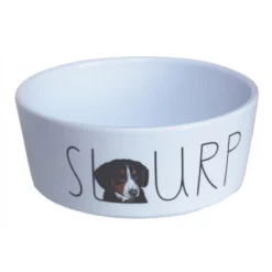 Pet Interest Μπολ Σκύλου και Γάτας Μελαμίνης Deluxe Slurp Large 900ml