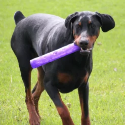 Kong Squeezz Crackle Stick Medium 8 Kong Squeezz Crackle Stick Medium -Προμήθειες Για Κατοικίδια Κατάστημα πωλήσεων 25082 1000x1000 2