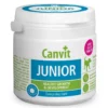 Canvit Junior Πολυβιταμίνες για Υγιή Ανάπτυξη 100 Δισκία
