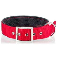 Περιλαίμιο Pet Interest Με Επένδυση 3xl 2,5cm X 65cm Γαλάζιο -Προμήθειες Για Κατοικίδια Κατάστημα πωλήσεων 3041a 0201201 1000x1000w