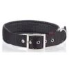 Περιλαίμιο Pet Interest Με Επένδυση 3xl 2,5cm X 65cm Μαύρο