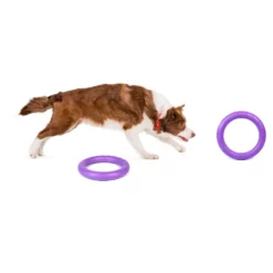 Εκπαιδευτικό Παιχνίδι Σετ Puller Midi 20x3 Cm ( 2τμχ ) 17 Εκπαιδευτικό Παιχνίδι Σετ Puller Midi 20x3 Cm ( 2τμχ ) -Προμήθειες Για Κατοικίδια Κατάστημα πωλήσεων 31 530 02 01 1000x1000w