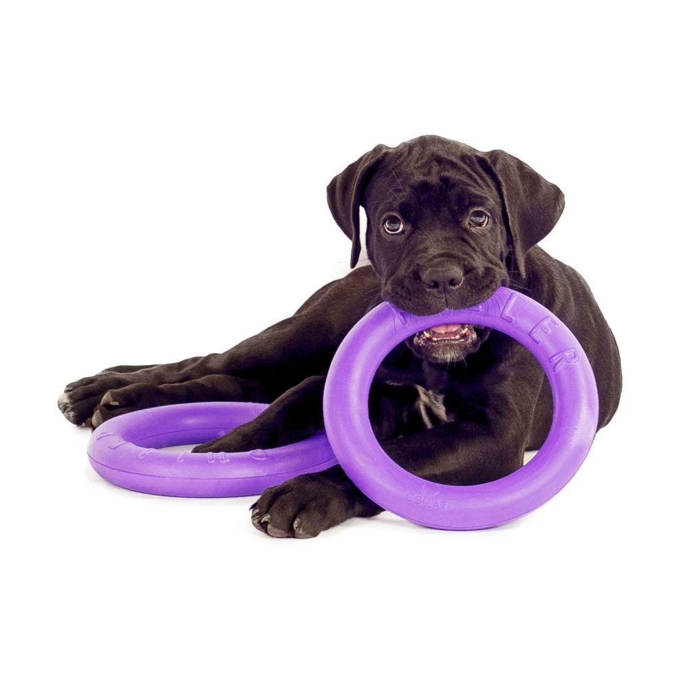 Εκπαιδευτικό Παιχνίδι Σετ Puller Midi 20x3 Cm ( 2τμχ ) 6 Εκπαιδευτικό Παιχνίδι Σετ Puller Midi 20x3 Cm ( 2τμχ ) - Image 6