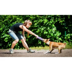 Εκπαιδευτικό Παιχνίδι Σετ Puller Midi 20x3 Cm ( 2τμχ ) 18 Εκπαιδευτικό Παιχνίδι Σετ Puller Midi 20x3 Cm ( 2τμχ ) -Προμήθειες Για Κατοικίδια Κατάστημα πωλήσεων 31 530 03 11 1000x1000w