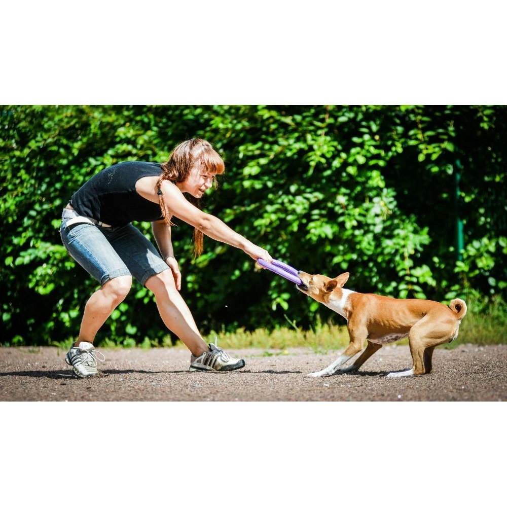 Εκπαιδευτικό Παιχνίδι Σετ Puller Midi 20x3 Cm ( 2τμχ ) 8 Εκπαιδευτικό Παιχνίδι Σετ Puller Midi 20x3 Cm ( 2τμχ ) - Image 8