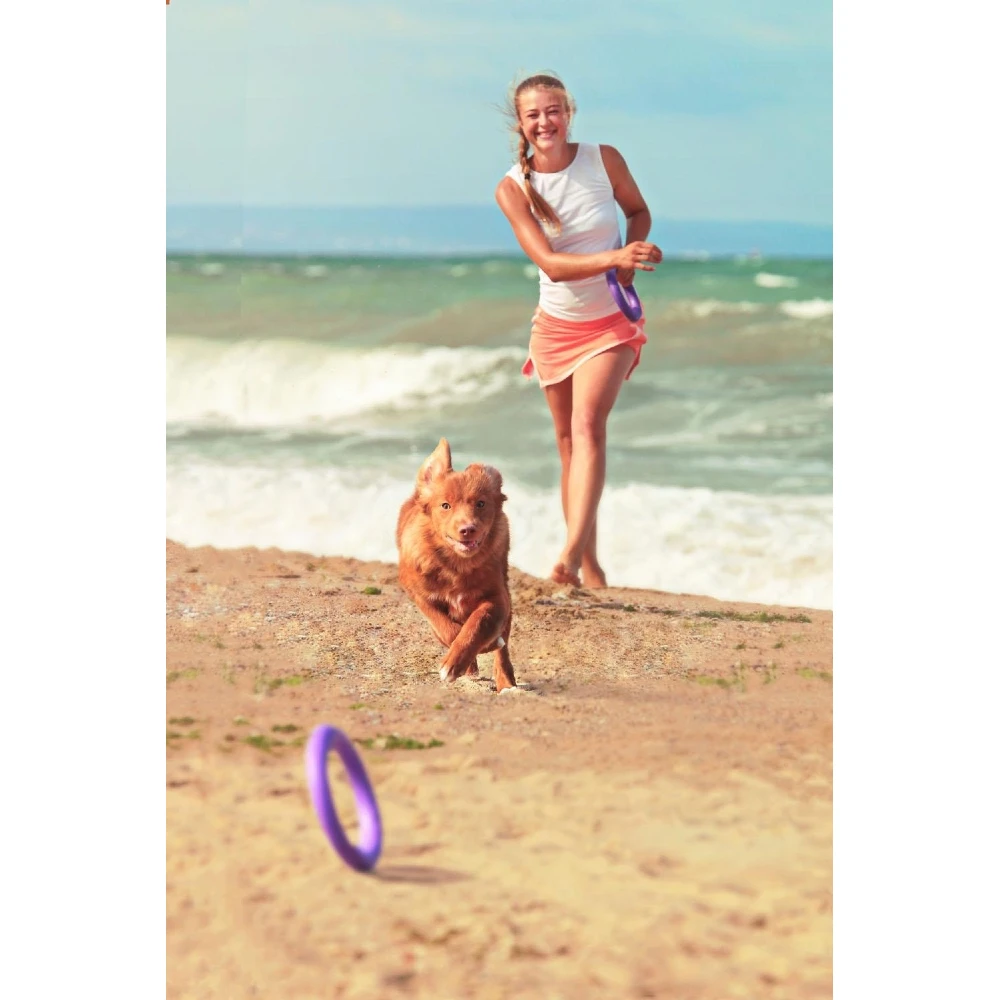 Εκπαιδευτικό Παιχνίδι Σετ Puller Midi 20x3 Cm ( 2τμχ ) 10 Εκπαιδευτικό Παιχνίδι Σετ Puller Midi 20x3 Cm ( 2τμχ ) - Image 10