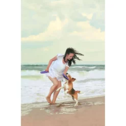 Εκπαιδευτικό Παιχνίδι Σετ Puller Midi 20x3 Cm ( 2τμχ ) 21 Εκπαιδευτικό Παιχνίδι Σετ Puller Midi 20x3 Cm ( 2τμχ ) -Προμήθειες Για Κατοικίδια Κατάστημα πωλήσεων 31 530 03 15 1000x1000h