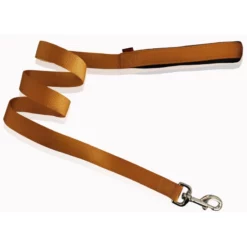 Οδηγός Pet Interest Με Επένδυση L (2,5cm X 120cm) Χρυσό