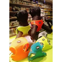 Σαμαράκι Γιλέκο Σκύλου Nobby Mesh Reflect Γκρι (Πλάτος 1cm X Περιφ 28-33cm) -Προμήθειες Για Κατοικίδια Κατάστημα πωλήσεων 35357410 1271073422996253 7586616350320099328 n 1000x1000h 2