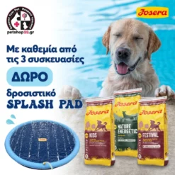 Josera Festival Gluten Free 15kg με σολομό + Δώρο Splash Pad -Προμήθειες Για Κατοικίδια Κατάστημα πωλήσεων 353800580 644533674366186 5685374222882785722 n 1000x1000 1