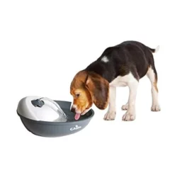 Ανταλλακτικό φίλτρο για Σιντριβάνι Camon A747 3τμχ -Προμήθειες Για Κατοικίδια Κατάστημα πωλήσεων 413Vr2gTKPL 1000x1000 1