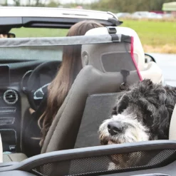 Kong Protective Seat Barrier - Διαχωριστικό Καθισμάτων -Προμήθειες Για Κατοικίδια Κατάστημα πωλήσεων 478413 1000x1000 1