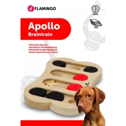Διαδραστικό Παιχνίδι Σκύλου Flamingo Brain Train Apollo 30x20cm 6 Διαδραστικό Παιχνίδι Σκύλου Flamingo Brain Train Apollo 30x20cm -Προμήθειες Για Κατοικίδια Κατάστημα πωλήσεων 513921 V 01 1000x1000h
