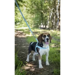 Flamingo Νορβηγικό Σαμαράκι - Επιστήθιο Noors Elly L 25mm X 62-75cm Γαλάζιο 6 Flamingo Νορβηγικό Σαμαράκι - Επιστήθιο Noors Elly L 25mm X 62-75cm Γαλάζιο -Προμήθειες Για Κατοικίδια Κατάστημα πωλήσεων 521150 3 PETSHOP88 1000x1000h 2