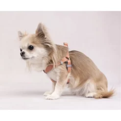 Flamingo Νορβηγικό Σαμαράκι - Επιστήθιο Noors Elly S 20mm X 43-55cm Σομόν -Προμήθειες Για Κατοικίδια Κατάστημα πωλήσεων 521191 2 petshop88 1000x1000w