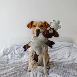 Παιχνίδι Σκύλου Duvo Farm Friends Sebastian The Sheep 49cm -Προμήθειες Για Κατοικίδια Κατάστημα πωλήσεων 5414365322700 sc1 webl 1000x1000 1