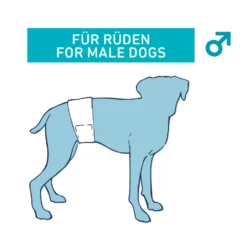 Πάνες-Βρακάκια για αρσενικά σκυλάκια της Nobby L-XL (60-80cm) 12 τεμάχια -Προμήθειες Για Κατοικίδια Κατάστημα πωλήσεων 57176 1 1000x1000w