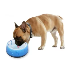 Μπολ Σκύλου και Γάτας AFP Love Large 18cm Μπλε 5 Μπολ Σκύλου και Γάτας AFP Love Large 18cm Μπλε -Προμήθειες Για Κατοικίδια Κατάστημα πωλήσεων 5726 2 1000x1000w 1