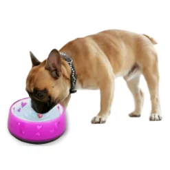 Μπολ Σκύλου και Γάτας AFP Love Medium 15cm Ροζ -Προμήθειες Για Κατοικίδια Κατάστημα πωλήσεων 5727 2 1000x1000w