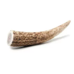 OEM Κέρατο Ελαφιού Chew Chew Original Mini 50-70gr -Προμήθειες Για Κατοικίδια Κατάστημα πωλήσεων 59 1000x1000w