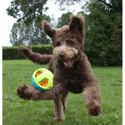 Διαδραστικό παιχνίδι μπάλα Nobby Tpr Toy Active 13cm 5 Διαδραστικό παιχνίδι μπάλα Nobby Tpr Toy Active 13cm -Προμήθειες Για Κατοικίδια Κατάστημα πωλήσεων 60032 1201 1000x1000h