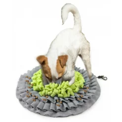 Εκπαιδευτικό Παιχνίδι AFP Dig It Treat Mat 50cm -Προμήθειες Για Κατοικίδια Κατάστημα πωλήσεων 6084 2 1000x1000h