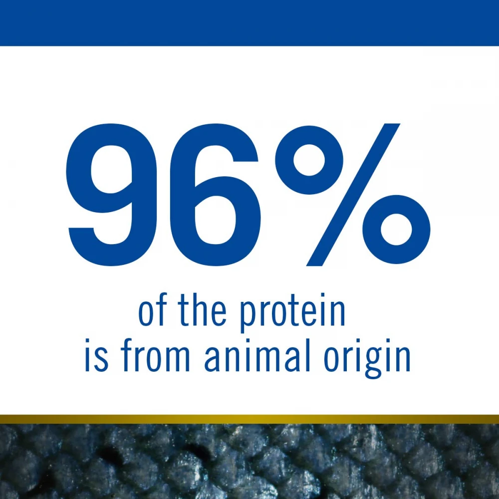 N&D Ocean Grain Free Pumpkin Codfish & Cantaloupe Melon Puppy Mini 2,5kg 5 N&D Ocean Grain Free Pumpkin Codfish & Cantaloupe Melon Puppy Mini 2,5kg - Image 5