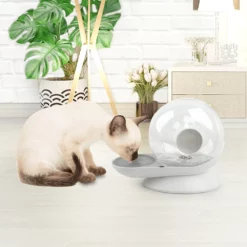 Αυτόματη Ποτίστρα Σιντριβάνι AFP Snail 2,8lt για σκύλους και γάτες -Προμήθειες Για Κατοικίδια Κατάστημα πωλήσεων 6215f54e7774d petshop88 1000x1000 1