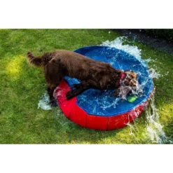 Πισίνα Σκύλου Nobby Small 80X20cm -Προμήθειες Για Κατοικίδια Κατάστημα πωλήσεων 62206 2 1000x1000w