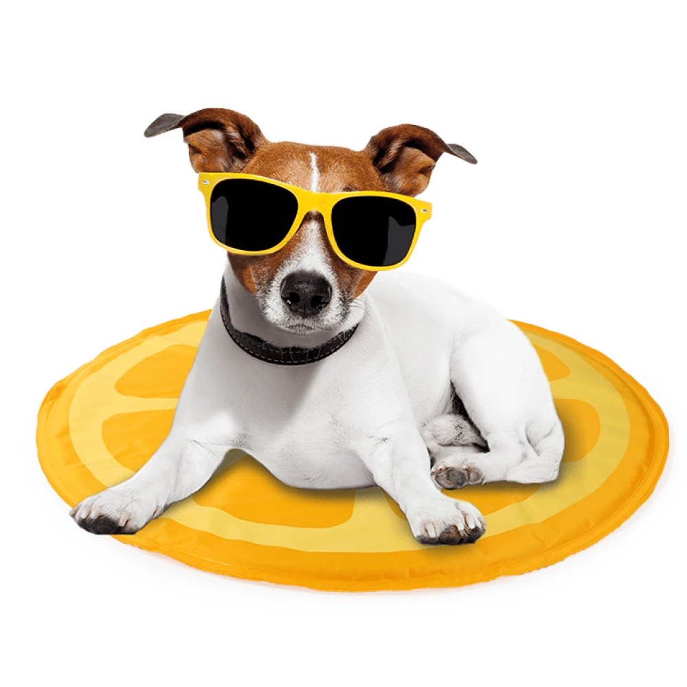 Δροσιστικό στρωματάκι AFP Chill Out Orange 60cm 3 Δροσιστικό στρωματάκι AFP Chill Out Orange 60cm - Image 3