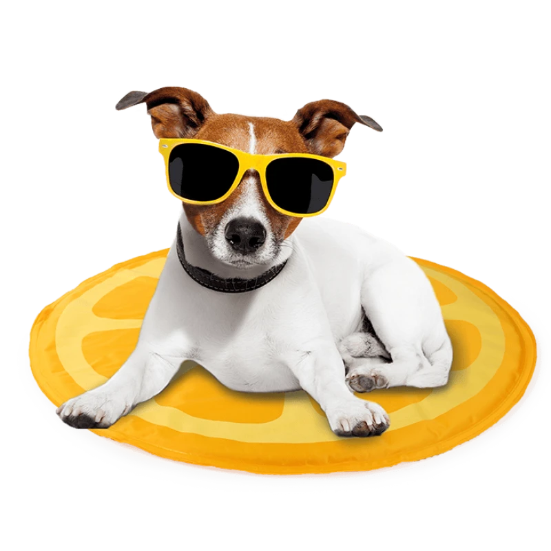 Δροσιστικό στρωματάκι AFP Chill Out Orange 60cm 1 Δροσιστικό στρωματάκι AFP Chill Out Orange 60cm